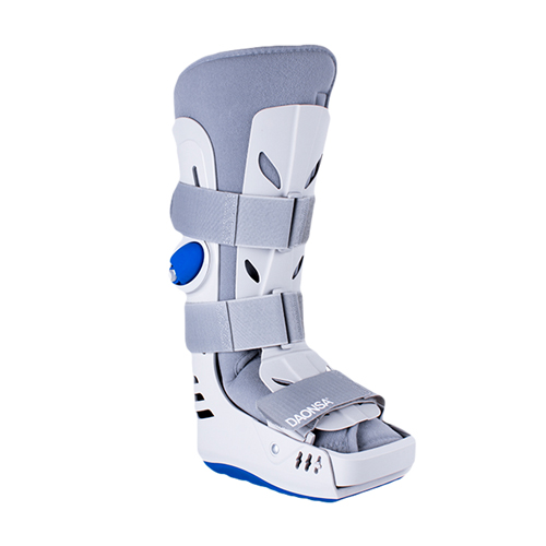 ROVER WALKER ALTO DAONSA